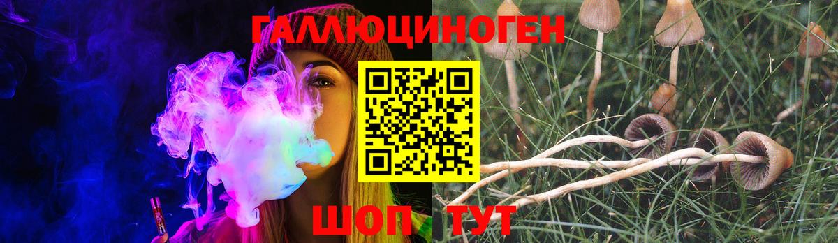 Галлюциногенные грибы Cubensis  закладки  Ипатово  Вход с VPN 